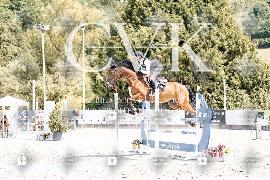 CK900600 | Turnierfotografie Pferdefotografie Trier Rheinland-Pfalz Pferdesport Reitsport Tierfotografie Sportfotografie Pferdevideo Pferdevideografie Equestrianvideography equestrianphotography  - Realisiert mit Pictrs.com