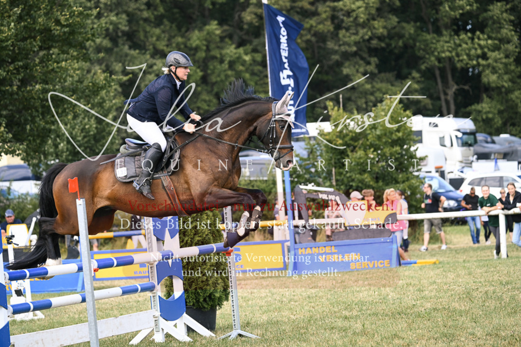 DSC_0561 | Pferde- und Turnierfotografie in Westsachsen. Pferdeportraits, Auftragszeichnungen und intuitive Kunst.