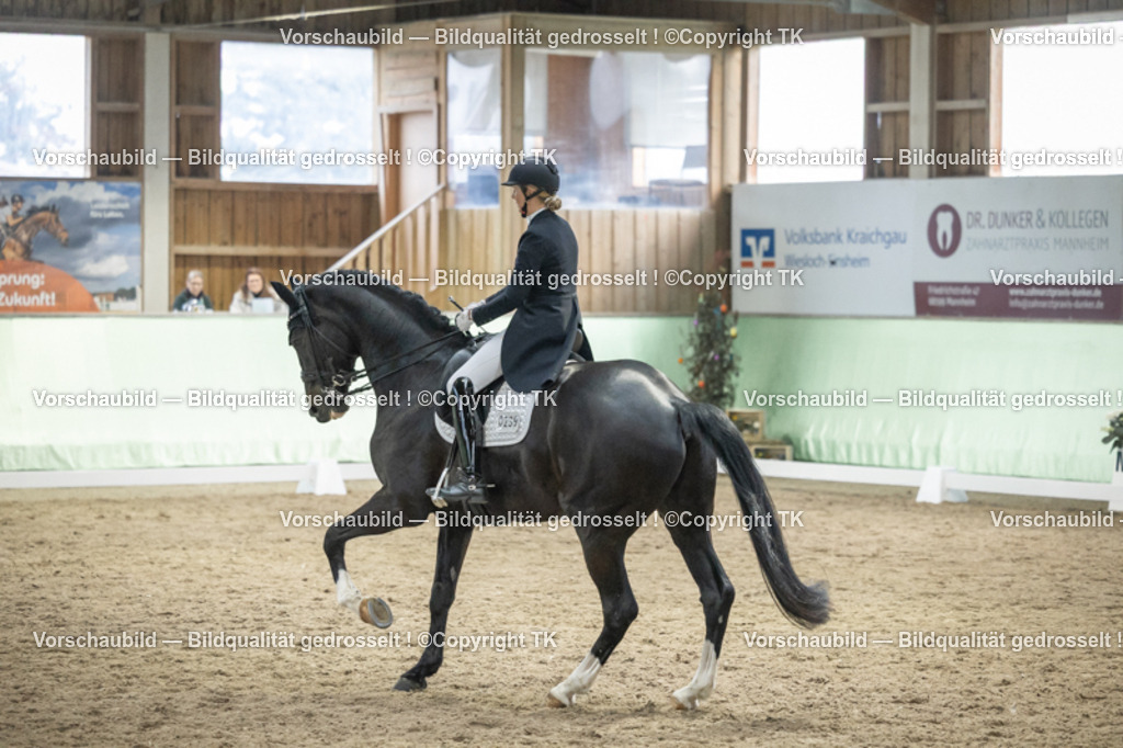 _D5A6925 | Emotionale Pferde- & People-Fotografie rund um Heidelberg, Leimen & Umgebung. Natürliche Fotos von Pferd, Mensch & Familie. Jetzt Termin sichern!