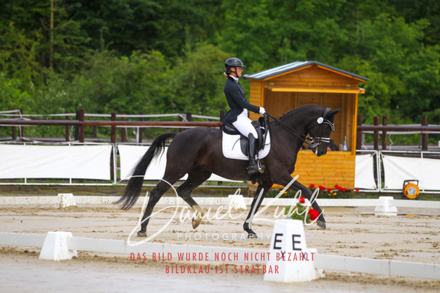 DKP40567 | Turniersportfotografie; Pferdefotografie; Dressurfotografie