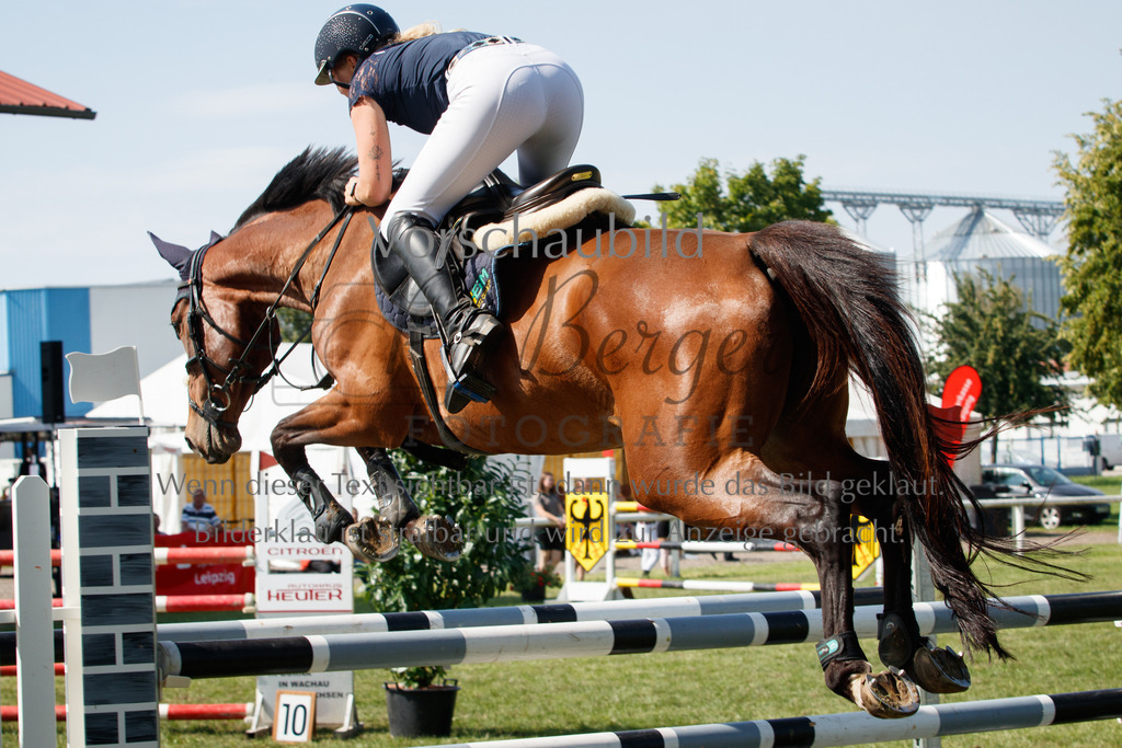 IMG_3629 | P. Berger Fotografie - Realisiert mit Pictrs.com