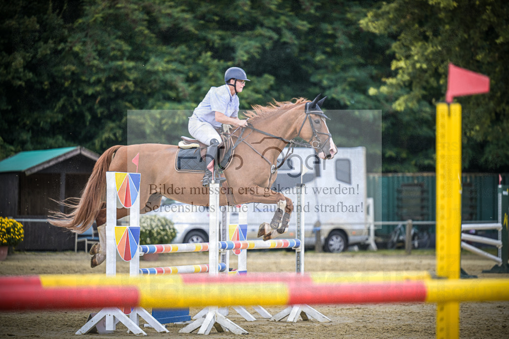 DOS_9619 | Entdecke hochwertige Reitturnierfotos von Foto Oger. Professionell, emotional und authentisch – jetzt Lieblingsmomente im Shop bestellen.Deutschlandweite Turnierfotografie. - Realisiert mit Pictrs.com