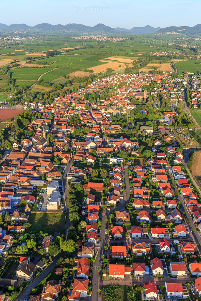 Luftbild: Ortsansicht von Osten in Essingen im Bundesland Rheinland-Pfalz in Deutschland. Foto: IMG_116613.jpg vom 11.08.2019 durch Werner Riehm/FLY-FOTO.de