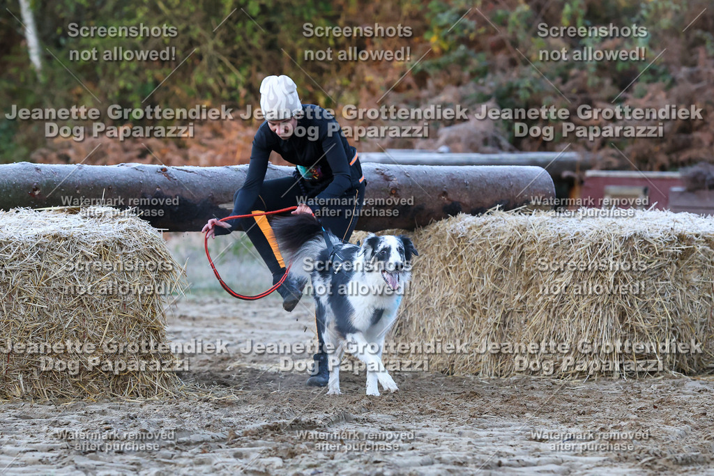 Dog Paparazzi - Strongdog 10-25-277 | Dog Paparazzi Jeanette Grottendiek Fotografie & Videografie - Realisiert mit Pictrs.com