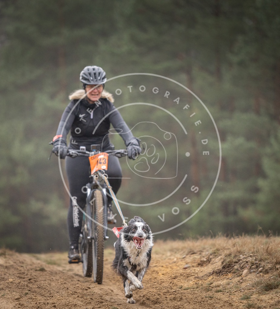 Pfotenfotografie_DV3A4037 | Hundefotografie, Tierfotograf, Pfotenfotografie, Fotoshooting Hund, Hunde Portrait, Hundesport, Hundeportraits, Heideshooting, Hunde, Sportfotograf, Hundefotograf, Turnierhundsport, THS,  - Realisiert mit Pictrs.com