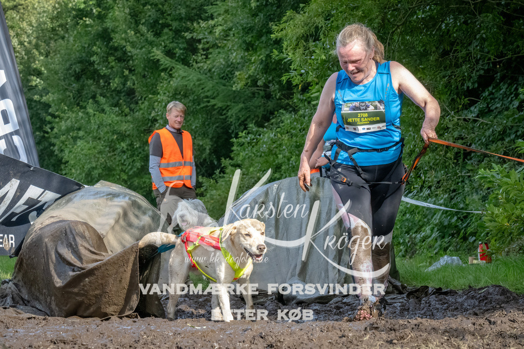 1730_ZZ92399-Bearbeitet | kk-dogfotos