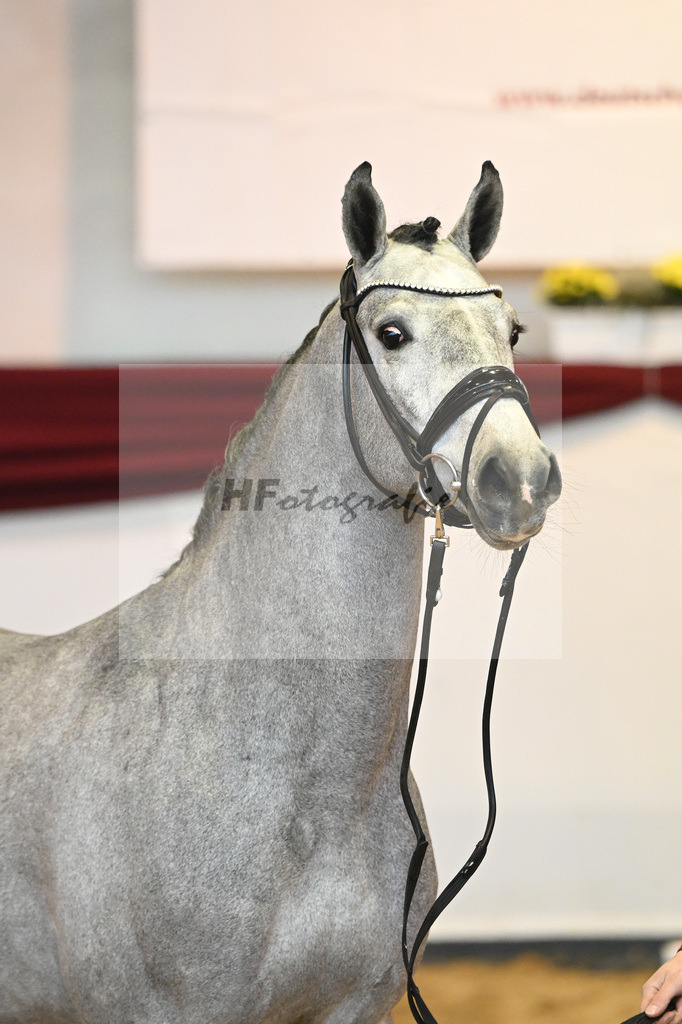 Kat-Nr. 12 v. Cabrio v d Heffinck_Beckmann_66221123 | hf-fotografie - Realisiert mit Pictrs.com