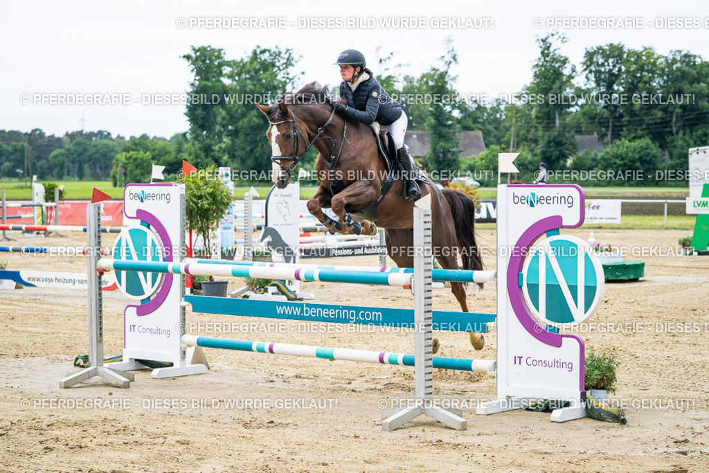 DSC04532 | Pferdegrafie