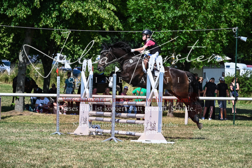 DSC_1155 | Pferde- und Turnierfotografie in Westsachsen. Pferdeportraits, Auftragszeichnungen und intuitive Kunst.