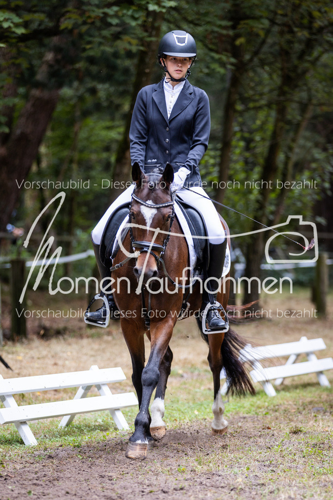 HB-Reiter-WB-045 | MomenTaufnahmen Pferdesportfotos