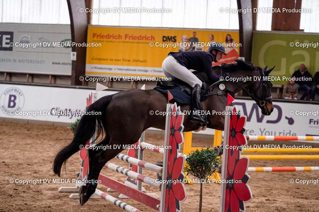 Kranichstein Tag 3-217 | dv-media-shop - Realisiert mit Pictrs.com