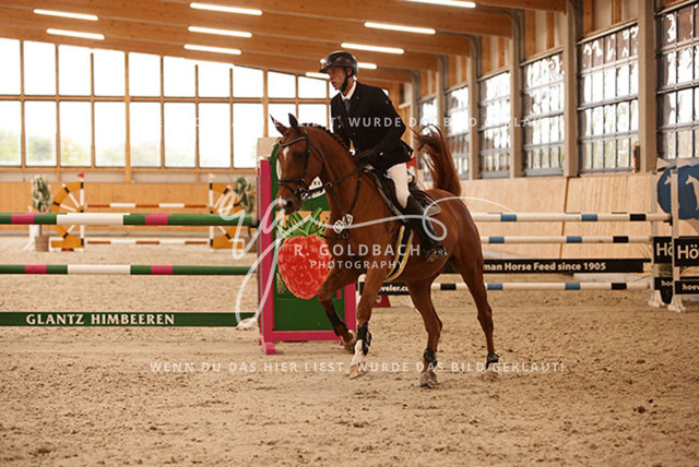 1J2A8801Martin Wißenbach_ Carlotta Blue_ Kn073_ Glantz_ Hohen Wieschendorf | Foto- und Videografie für alles rund ums Pferd. Hochwertige Bilder und Videos vom Spring- und Dressurreiten, Voltigieren & mehr. Jetzt aktuelle Veranstaltungen und Preise im Shop ansehen. - Realisiert mit Pictrs.com