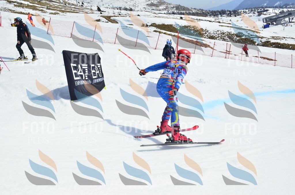 _ELE1398 | holidayphoto