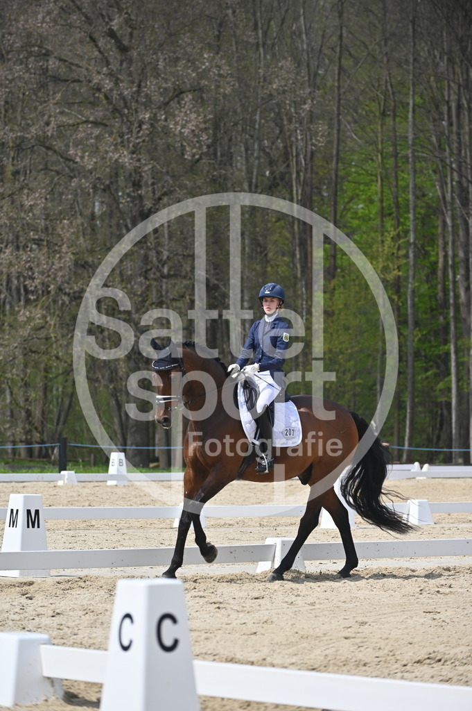 DSC_2176 | sattelsport - Realisiert mit Pictrs.com