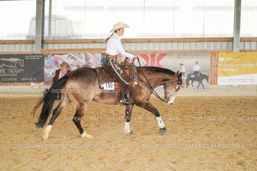 DSC01406 | Pferdegrafie