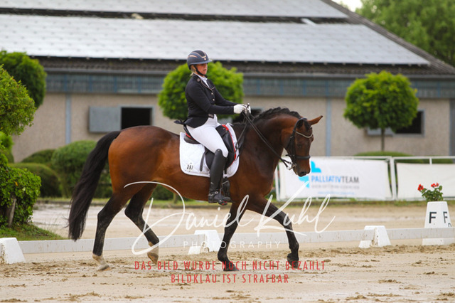 DKP40036 | Turniersportfotografie; Pferdefotografie; Dressurfotografie