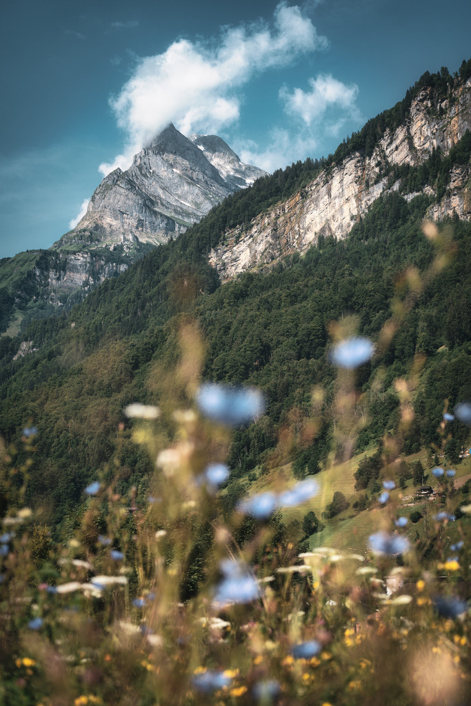 Sommer im Linthal | Sommer im Linthal im Kanton Glarus.f - Realisiert mit Pictrs.com