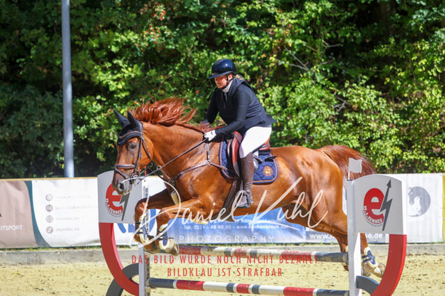 DKP43184 | Deine Turnierfotos vom Reitturnier online kaufen: Dressur, Springen & Siegerehrung. Professionelle Pferdefotografie aus dem Rheinland – als Download & Print.Alternative: Turnierfotograf für den Pferdesport: Finde deine Fotos von Dressur- und Springturnier