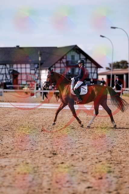 2026_10_03_Siefer-Hof_133249_Z81_89701111 | Professionelle Reitsport-, Turnier- und Eventfotografie von Robert Broda. Galerien mit ausgewählten und bearbeiteten Bildern direkt online ansehen und bestellen.