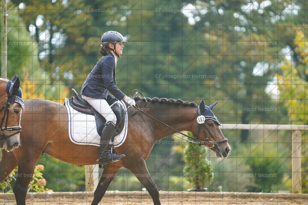 20221008-FAH00828 | Diessen am Ammersee, 2022, Dressur- und Springturnier, Reitsportbilder, Turnierfotografen Bayern, Pferdefotografen, Fotoagentur Herrmann, Turnierbilder