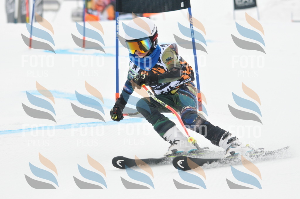 DSC_7939 | holidayphoto