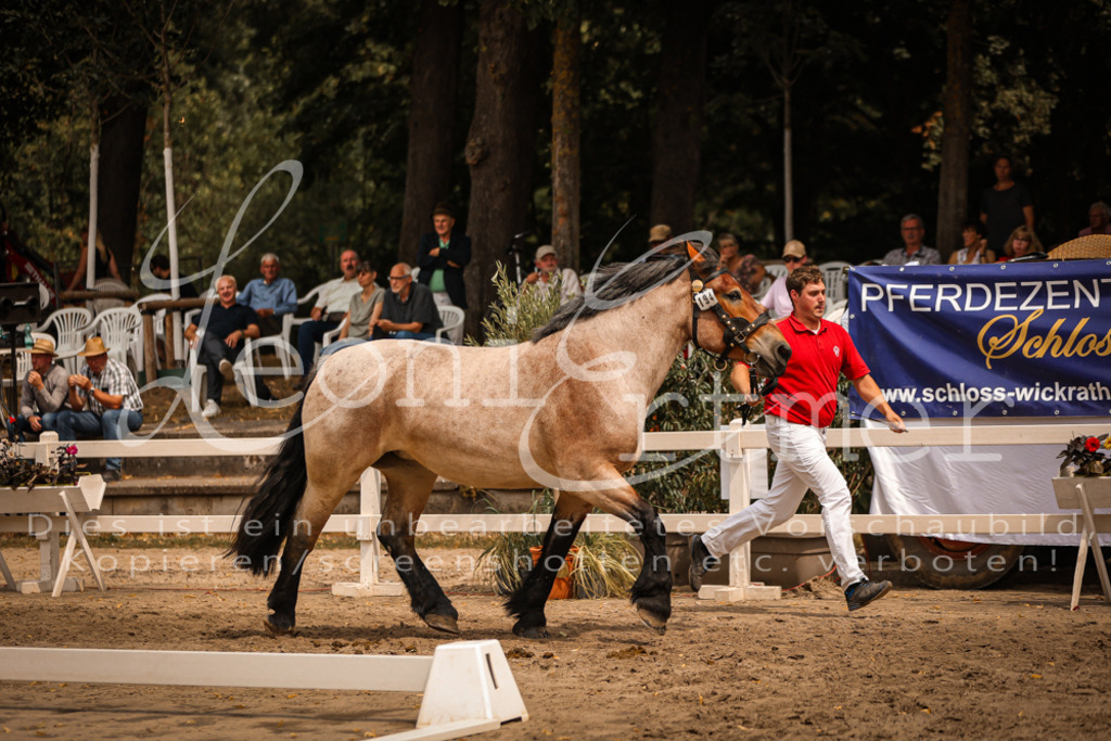 3.Sa00071 | Leoni Ertmer Photography - Realisiert mit Pictrs.com