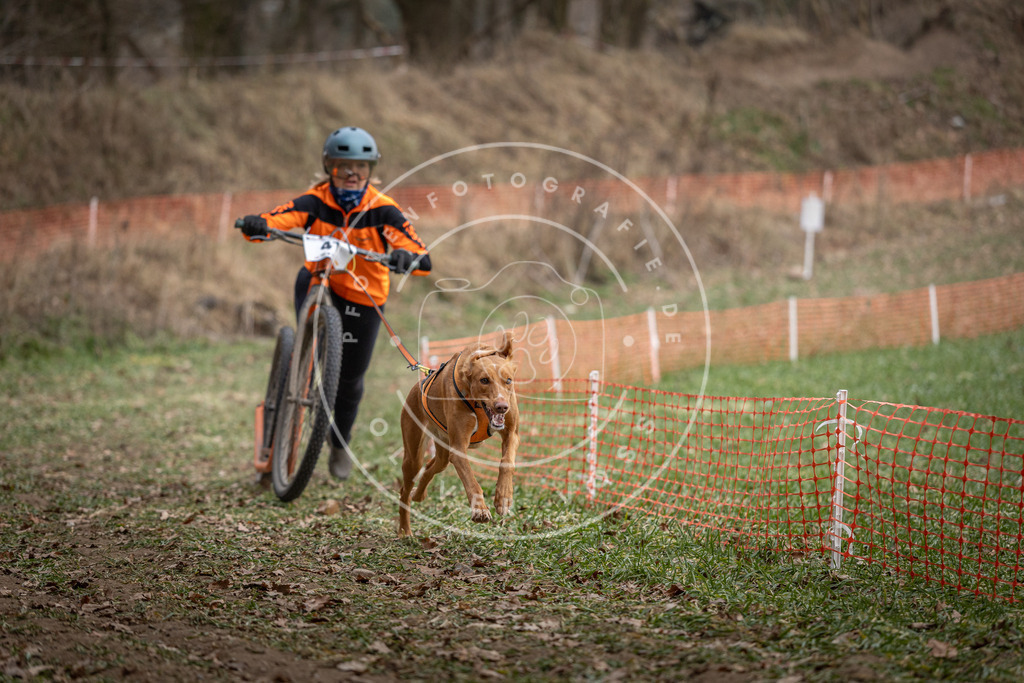 Pfotenfotografie_DV3A0437 | Hundefotografie, Tierfotograf, Pfotenfotografie, Fotoshooting Hund, Hunde Portrait, Hundesport, Hundeportraits, Heideshooting, Hunde, Sportfotograf, Hundefotograf, Turnierhundsport, THS,  - Realisiert mit Pictrs.com