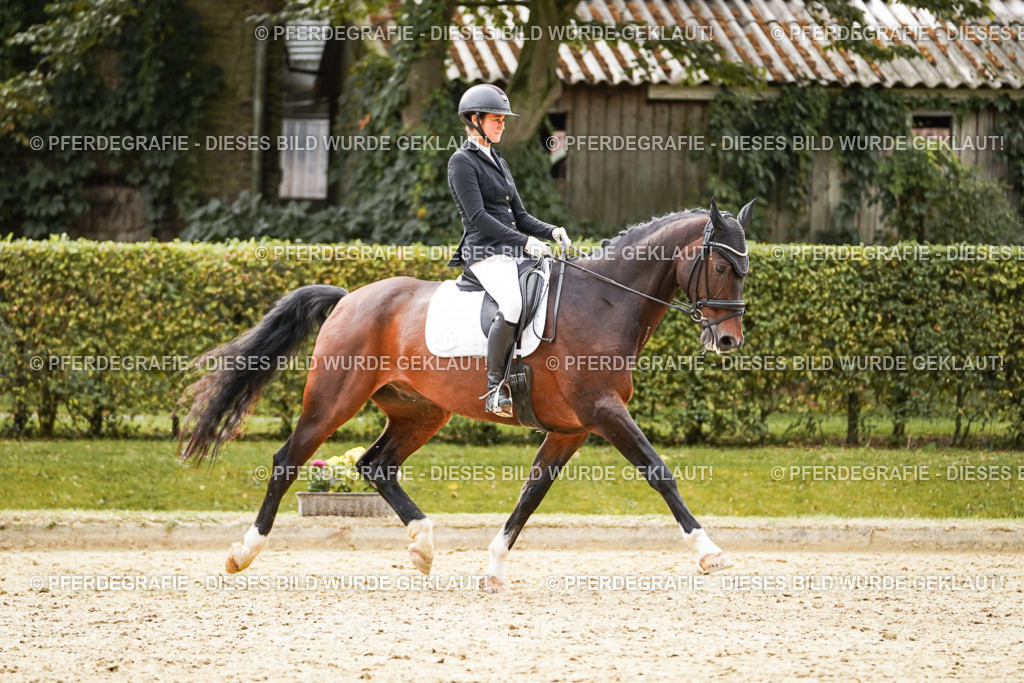 DSC09842 | Pferdegrafie