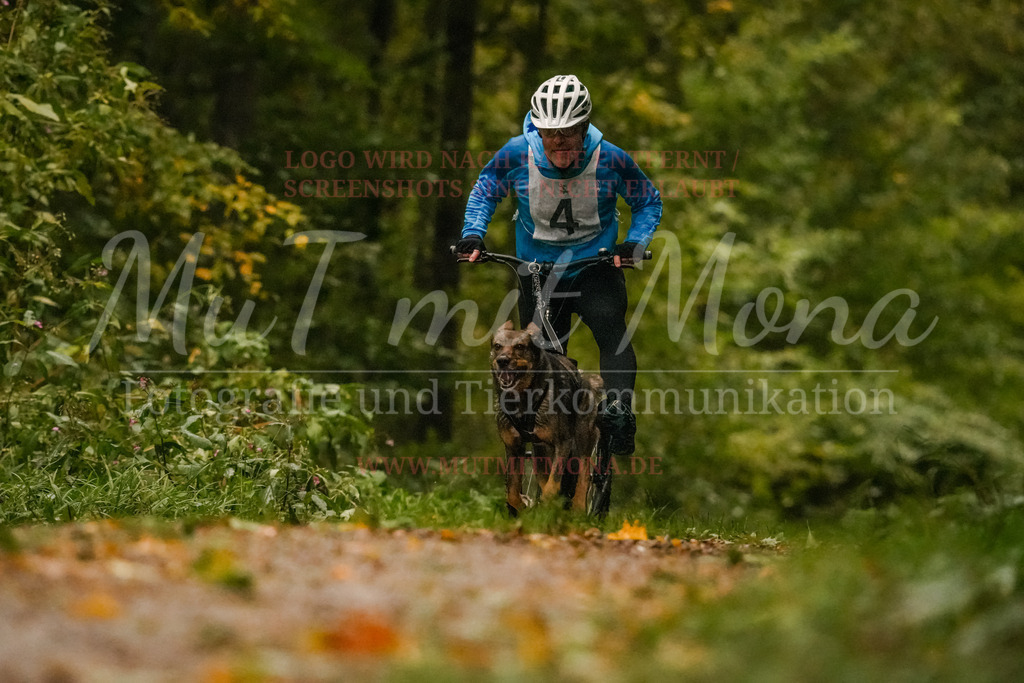 20251005_THS_Turnier-86 | MuT (Mensch und Tier) mit Mona - Fotografie und Tierkommunikation - Realisiert mit Pictrs.com