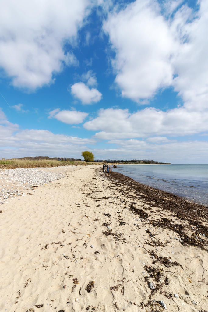 Wandbild: Naturstrand in Waabs – Küstenruhe im Hochformat | Dieses maritime Wandbild zeigt den Naturstrand in Waabs im Hochformat – mit sandigem Ufer, angespültem Seegras und ruhiger Ostsee unter einem lichtdurchfluteten Himmel mit vereinzelten Wolken. Die vertikale Komposition bringt Tiefe und Weite zugleich zur Geltung. Die Szene ist geprägt von unberührter Natürlichkeit, strukturreicher Küstentextur und entspannter Atmosphäre. Gedruckt auf hochwertigen Materialien wie Leinwand, Acrylglas, Alu-Dibond, als FineArt Print oder als Akustikbild bringt dieses Motiv klare Landschaftsruhe und norddeutsche Ursprünglichkeit direkt in Wohn- und Arbeitsräume. - Realisiert mit Pictrs.com