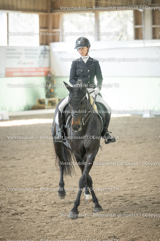 _D5A1051 | Emotionale Pferde- & People-Fotografie rund um Heidelberg, Leimen & Umgebung. Natürliche Fotos von Pferd, Mensch & Familie. Jetzt Termin sichern!