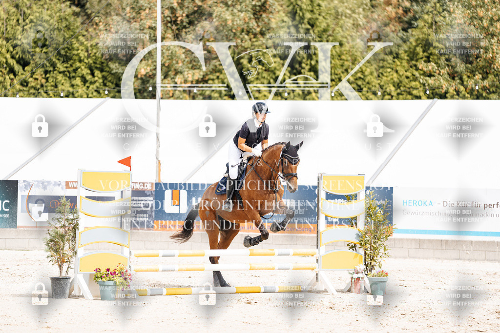 CK906518 | Turnierfotografie Pferdefotografie Trier Rheinland-Pfalz Pferdesport Reitsport Tierfotografie Sportfotografie Pferdevideo Pferdevideografie Equestrianvideography equestrianphotography  - Realisiert mit Pictrs.com