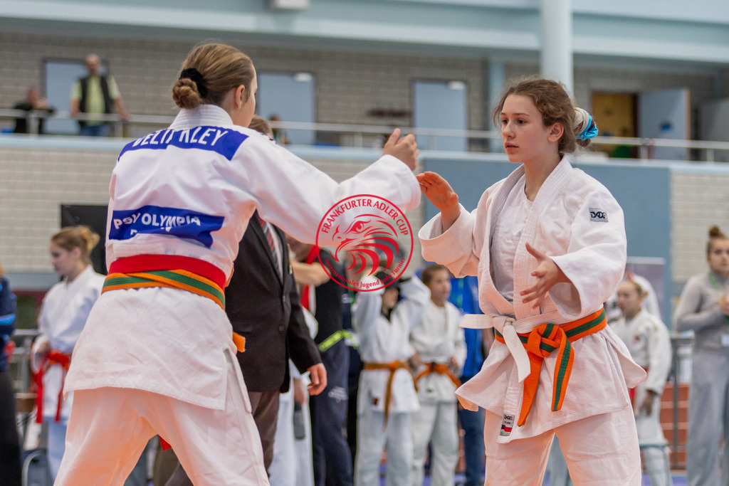 Internationaler Adler Cup 2024 | Foto vom Internationalen Adler Cup Judo Turnier im Sport- und Freizeitzentrum Kalbach im Oktober 2024 - Realisiert mit Pictrs.com