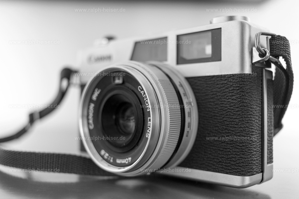 IMG_5075 | Wandbilder, Bilder, Fotograf in Marburg, Tierbilder, Wandfotos, Bilder Shop, Günstige Bilder, Schwarz-Weiß Bilder, Ralph Heiser