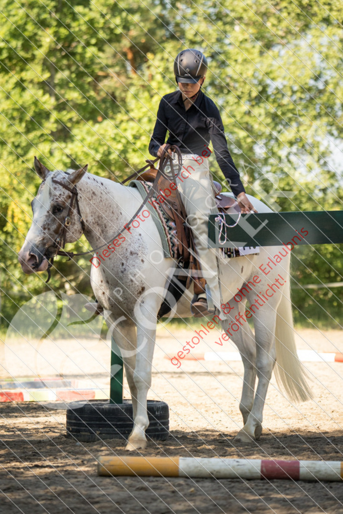 IMG_7713 | Sport-, Event- und Tierfotos in Profiqualität. Einfach auswählen, bestellen und herunterladen. Dein Moment – perfekt festgehalten.