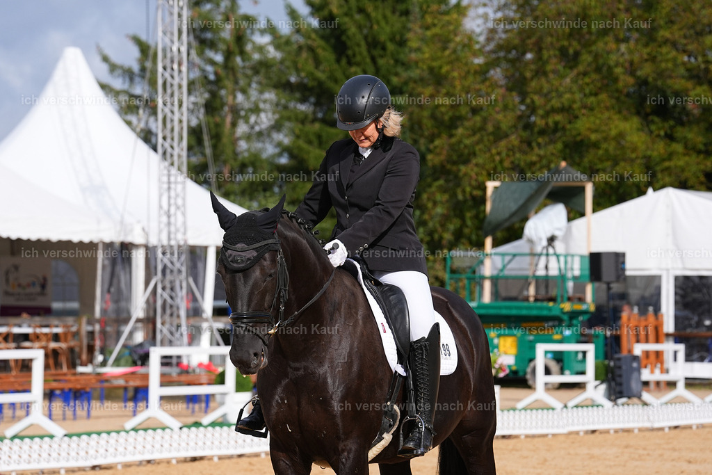 02-199-DRESSUR L_  -Marixx-4839 | working equitationturnier fotograf videograf stoibphotography marixx film working equitation deutschland reitsport turnierfotografie eventfotografie equestrian events