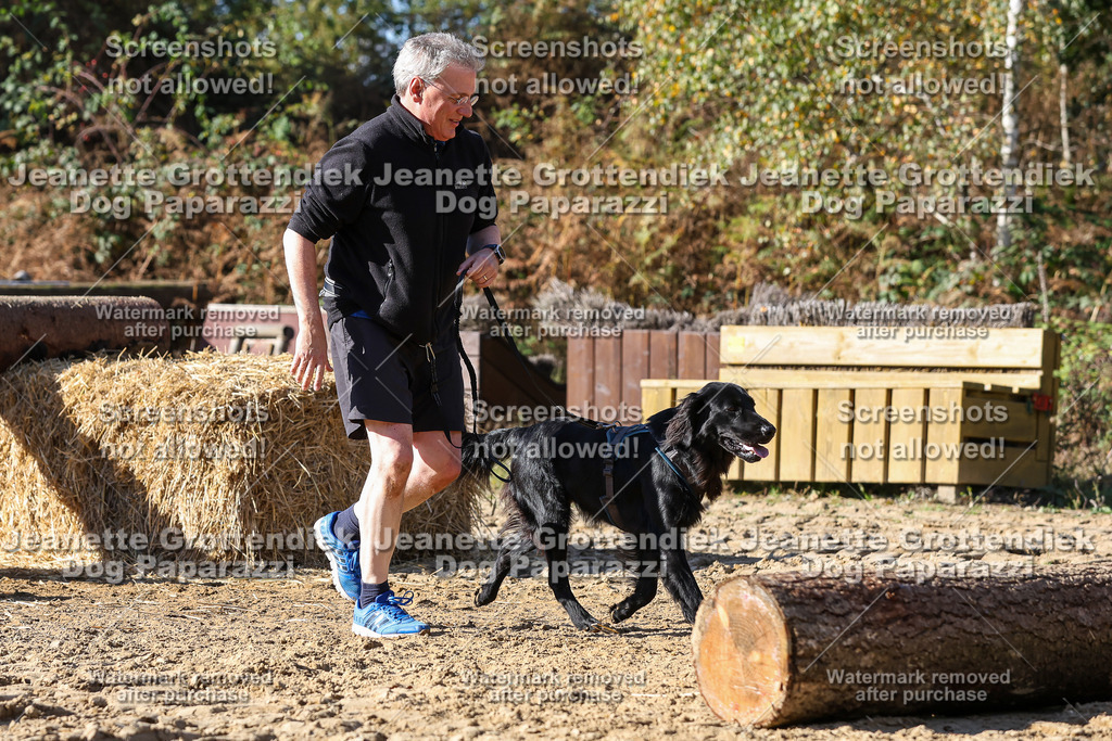Dog Paparazzi - Strongdog 10-25-4764 | Dog Paparazzi Jeanette Grottendiek Fotografie & Videografie - Realisiert mit Pictrs.com