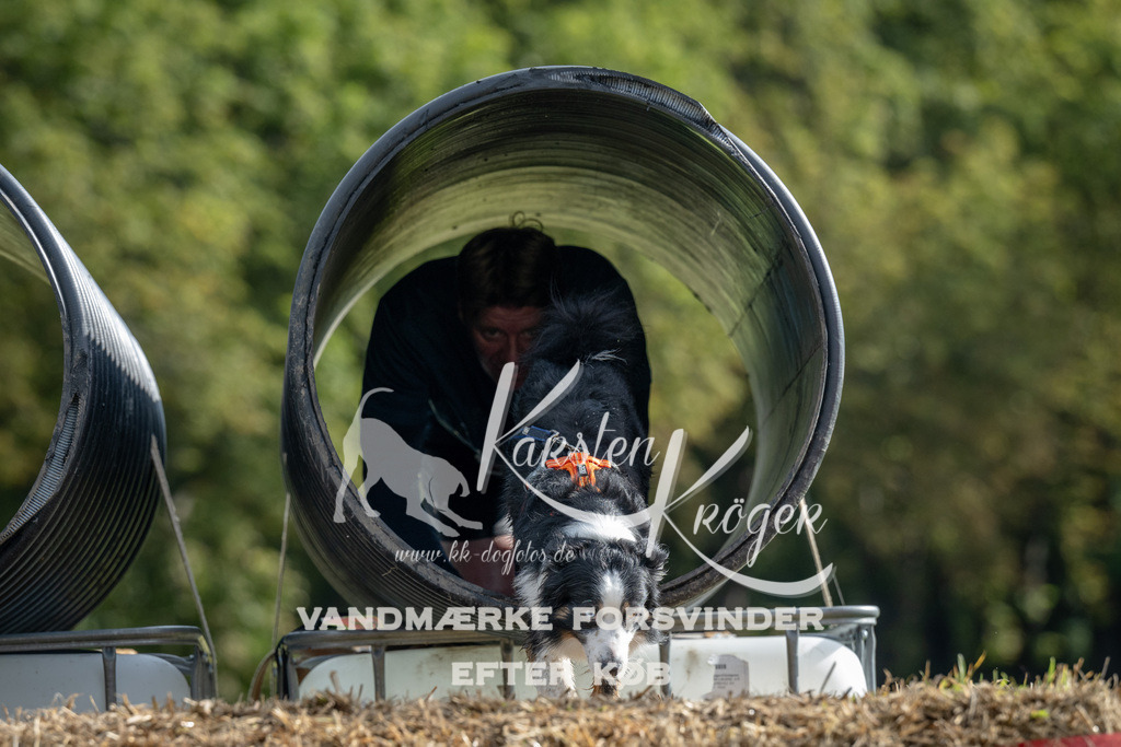 0942_ZZ90909 | kk-dogfotos