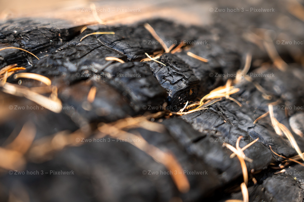 Fremdenweg_nahe_Katzenstein_Waldbrand_Nadelblatt | 2022-08-30_Waldbrandgebiete_1 - Realisiert mit Pictrs.com