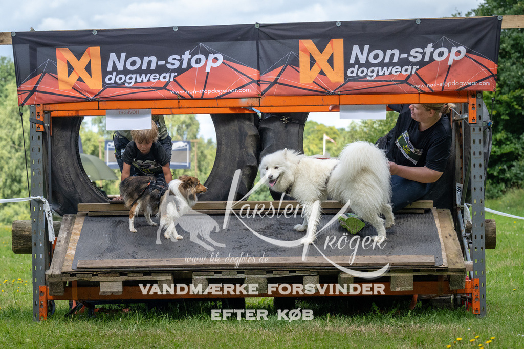 1330_ZZ90132 | kk-dogfotos