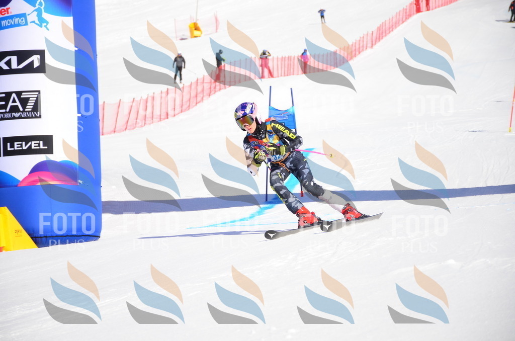 VR4_8588 | holidayphoto