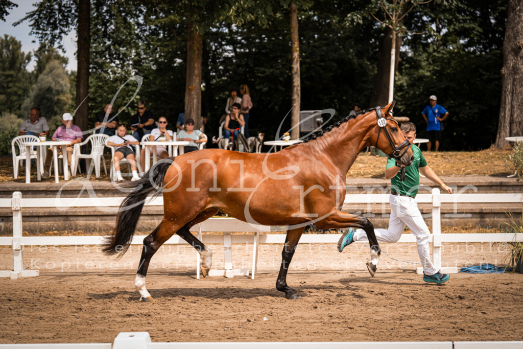 3.Fr00025 | Leoni Ertmer Photography - Realisiert mit Pictrs.com