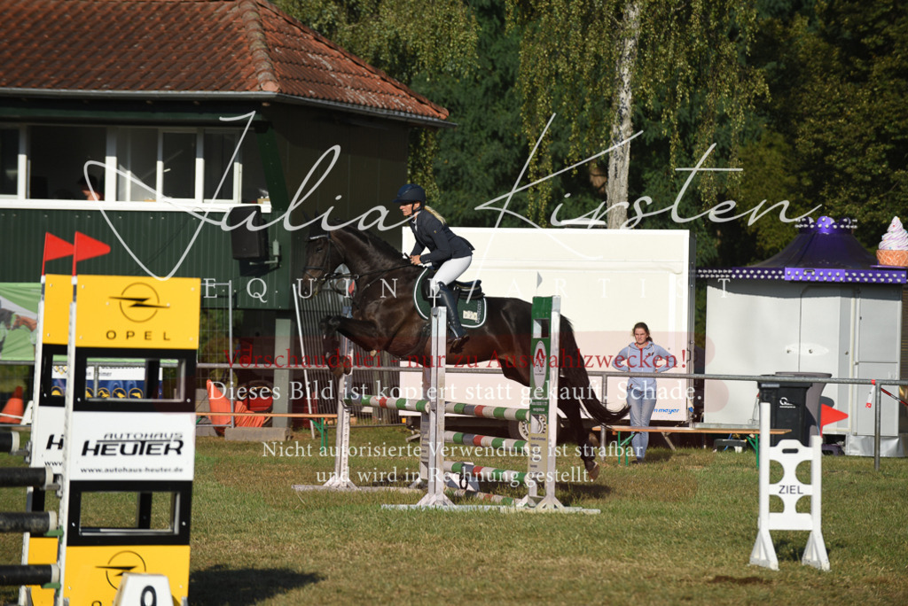 DSC_4952 | Pferde- und Turnierfotografie in Westsachsen. Pferdeportraits, Auftragszeichnungen und intuitive Kunst.
