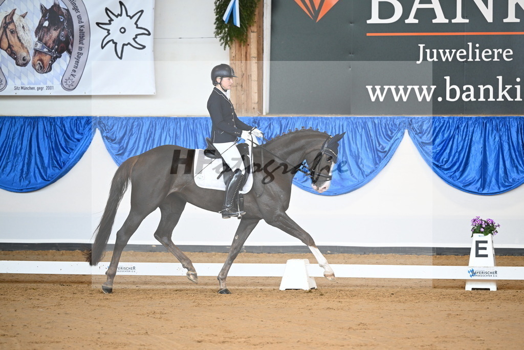 Rotheimer_Danse_avec_moi_4_10230173 | hf-fotografie - Realizzato con Pictrs.com
