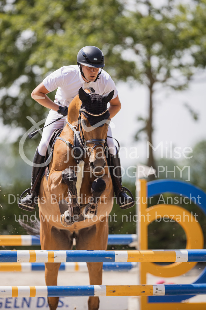 230616_Lemwerder_Springpf-L1-518 | Deine schönsten Turniermomente als professionelle Fotos! Entdecke hochwertige Pferdesport-Fotografie im Online-Shop. Jetzt Fotos finden & bestellen!