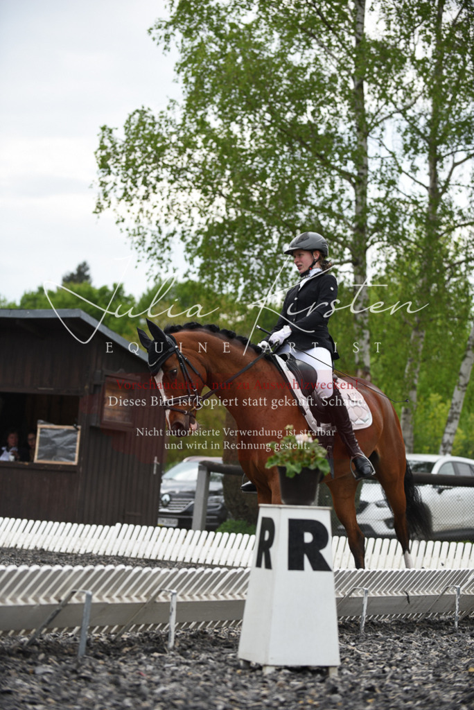 20230513_JK-Röhrsdorf-16-089 | Pferde- und Turnierfotografie in Westsachsen. Pferdeportraits, Auftragszeichnungen und intuitive Kunst.