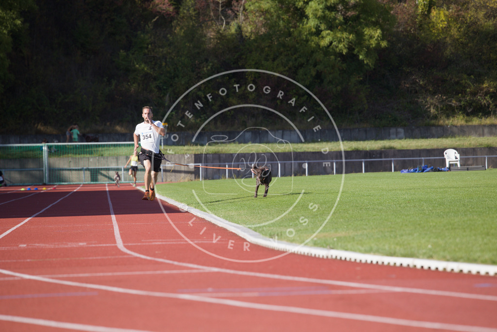0L8A9848 | Hundefotografie, Tierfotograf, Pfotenfotografie, Fotoshooting Hund, Hunde Portrait, Hundesport, Hundeportraits, Heideshooting, Hunde, Sportfotograf, Hundefotograf, Turnierhundsport, THS,  - Realisiert mit Pictrs.com