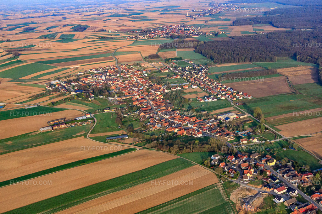 Aerial view: View of the town from the east in Niederlauterbach in the state Bas-Rhin, France. – Photo: IMG_63623.jpg taken on 03/30/2014 by Werner Riehm/FLY-FOTO.com – Resolution of the original: 4752 x 3168 px