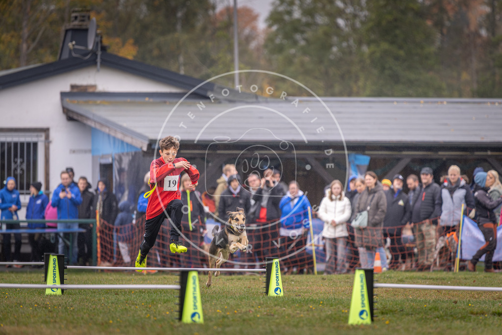 Pfotenfotografie_DV3A9878 | Hundefotografie, Tierfotograf, Pfotenfotografie, Fotoshooting Hund, Hunde Portrait, Hundesport, Hundeportraits, Heideshooting, Hunde, Sportfotograf, Hundefotograf, Turnierhundsport, THS,  - Realisiert mit Pictrs.com