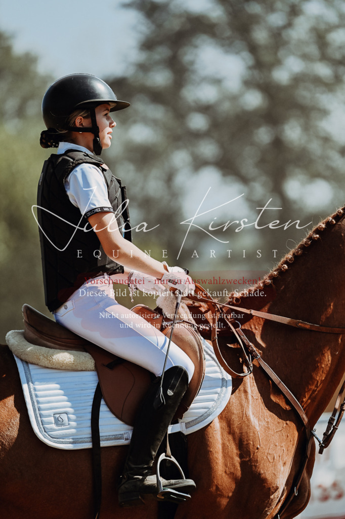 DSC_9537 | Pferde- und Turnierfotografie in Westsachsen. Pferdeportraits, Auftragszeichnungen und intuitive Kunst.